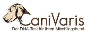 Der DNA-Test f&uuml;r Ihren Mischlingshund