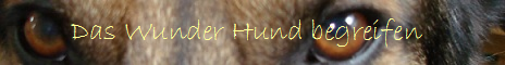 www.wer-ist-fido.de